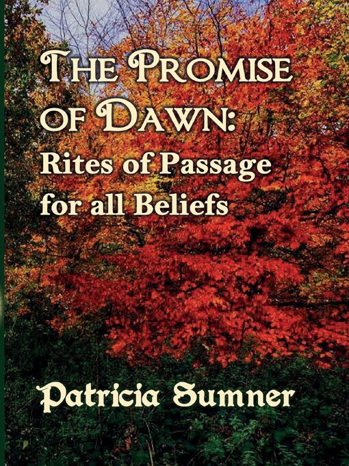 Title details for The Promise of Dawn by Patricia Sumner - Wait list